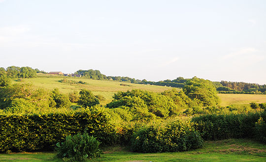 View of Frogmore Farm, holiday cottages in West Dorset
